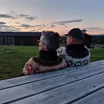 Skotten Seter - Bed & Husky Ringebu