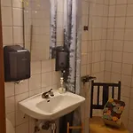 Skotten Seter - Bed & Husky Hotel Ringebu