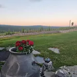 Hotel Skotten Seter - Bed & Husky Ringebu
