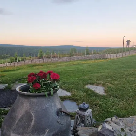 Hotell Skotten Seter - Bed&husky Ringebu