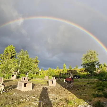 Skotten Seter - Bed & Husky * リンゲブ