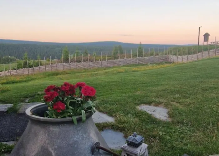 מלון Skotten Seter - Bed & Husky רינגבו